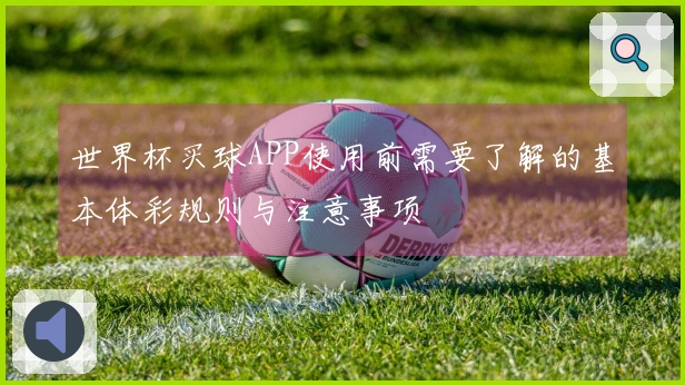 世界杯买球APP使用前需要了解的基本体彩规则与注意事项