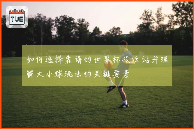 如何选择靠谱的世界杯投注站并理解大小球玩法的关键要素