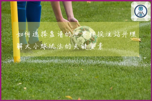 如何选择靠谱的世界杯投注站并理解大小球玩法的关键要素