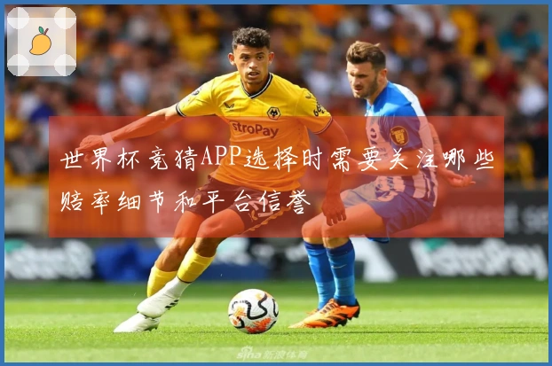 世界杯竞猜APP选择时需要关注哪些赔率细节和平台信誉